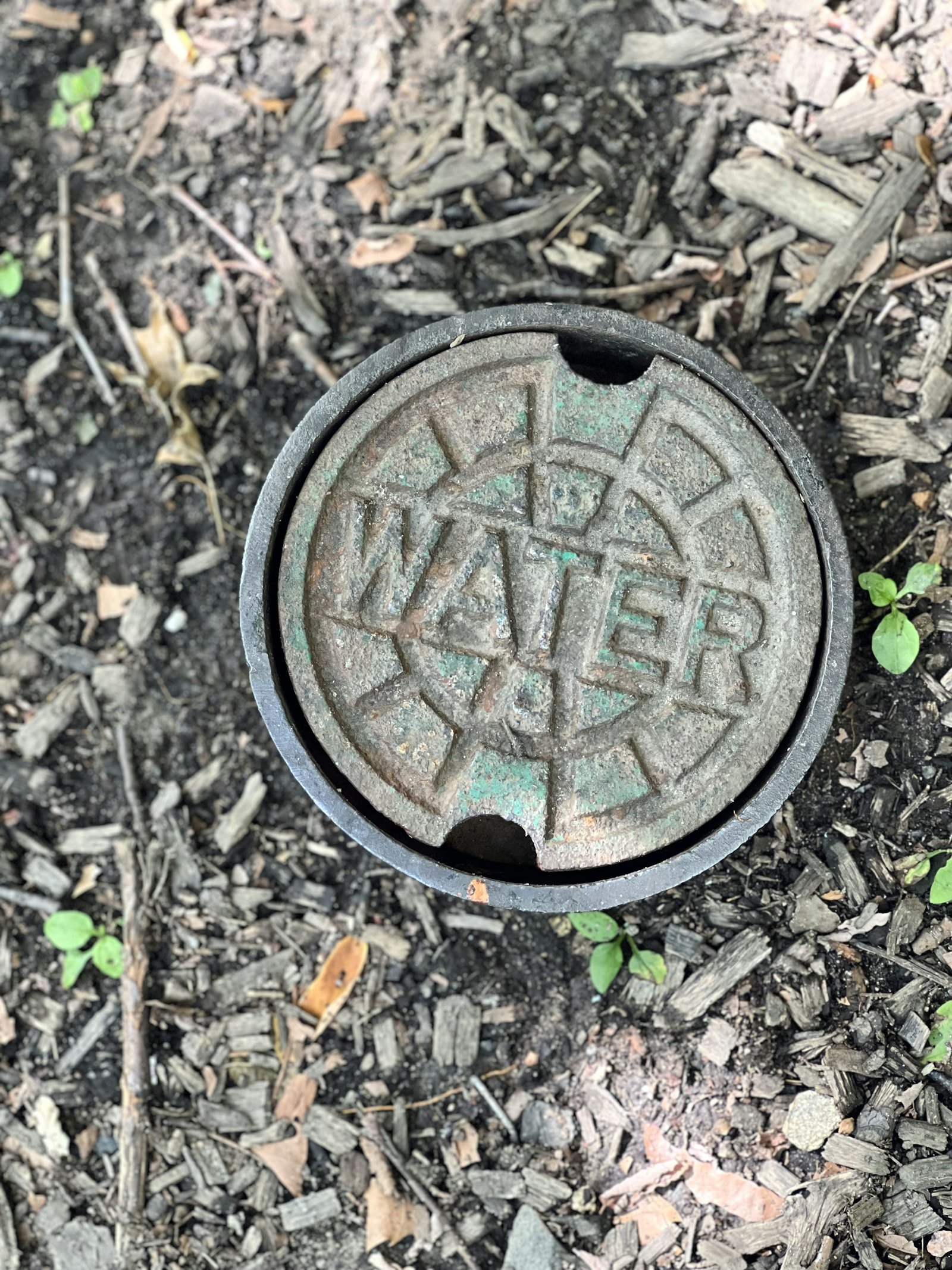 Ram Rooter — plumber in Houston, TX