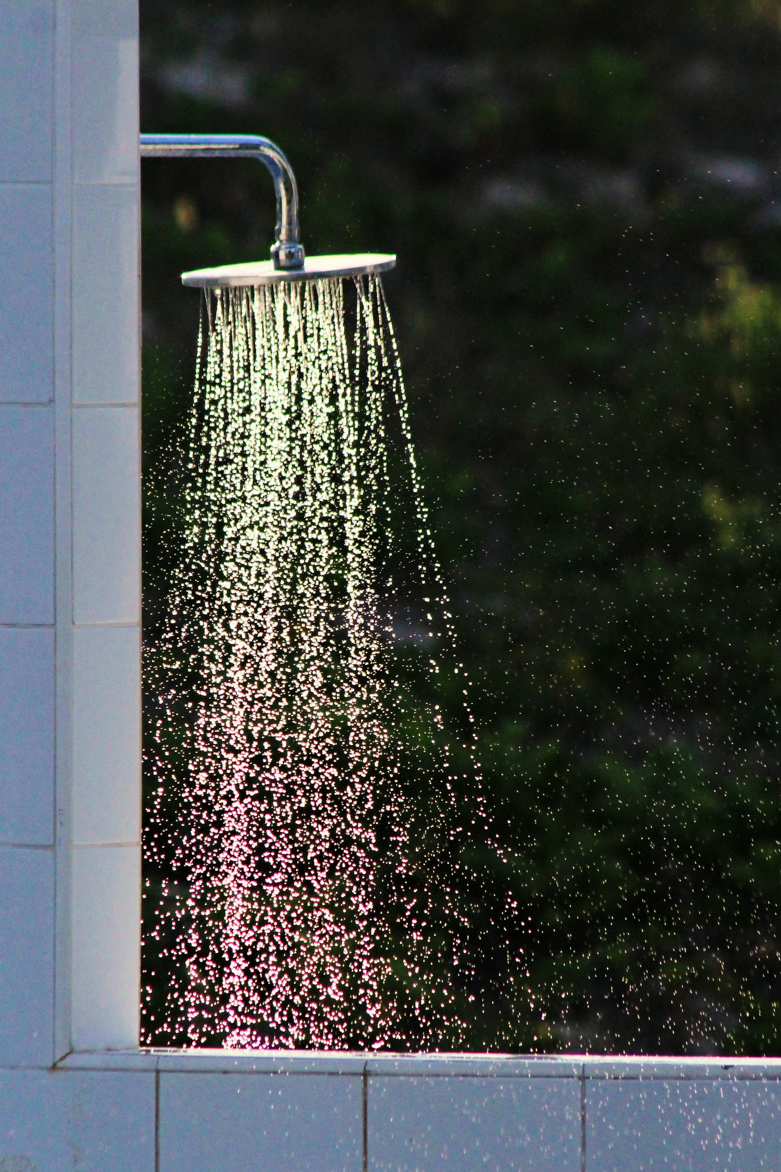 Ripley's Plumbing Inc — plumber in Friendswood, TX